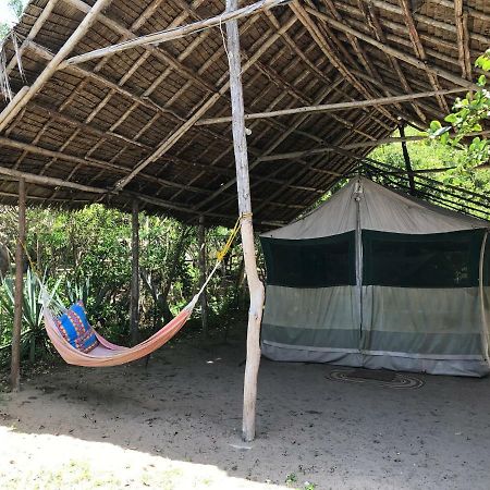 Peponi Beach Resort Pangani Exterior photo
