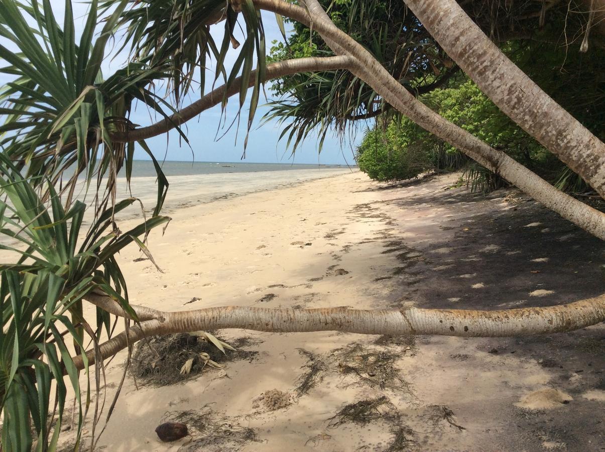 Peponi Beach Resort Pangani Exterior photo