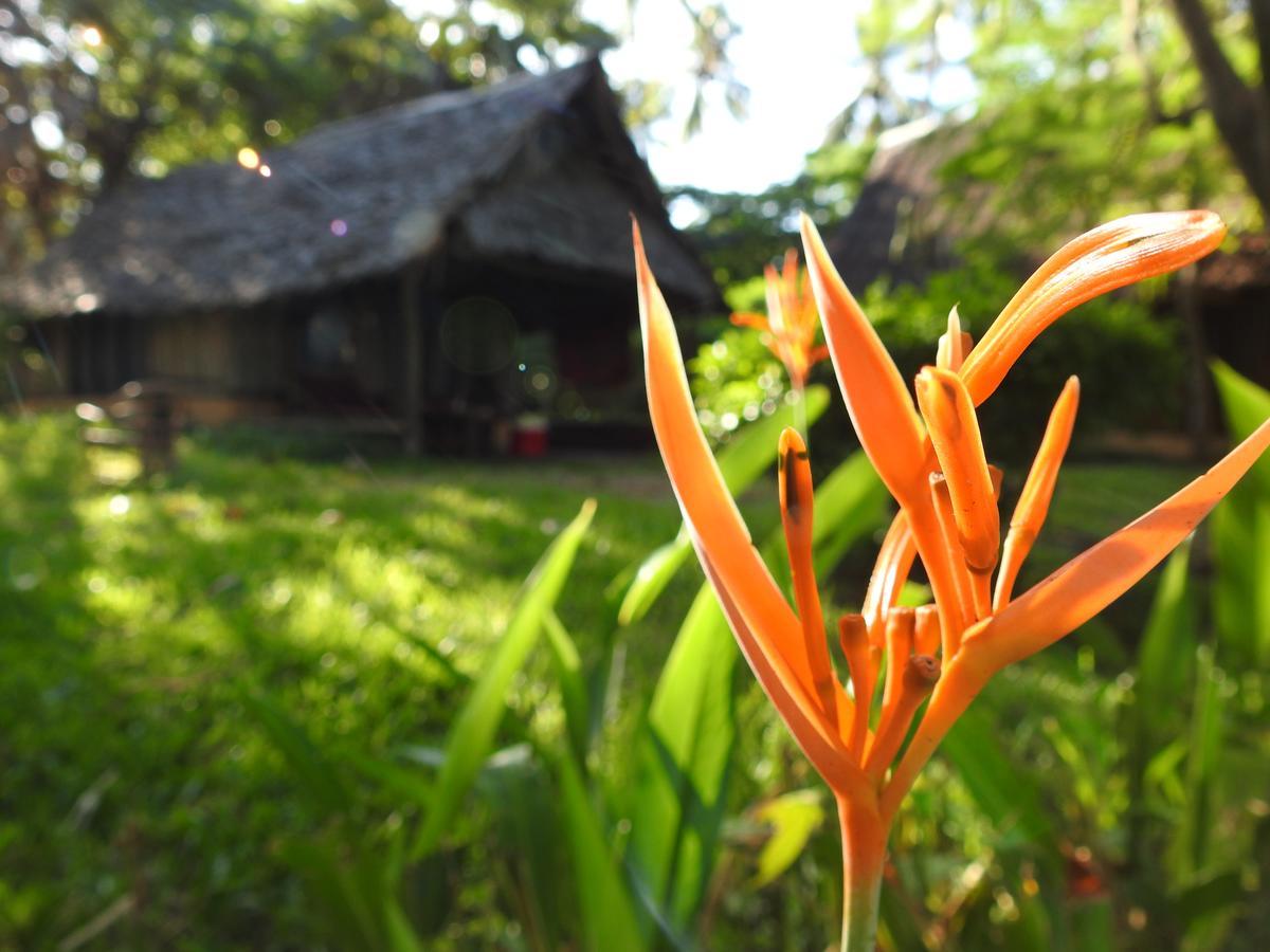 Peponi Beach Resort Pangani Exterior photo